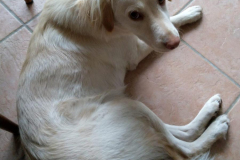 IMG-20210320-WA0015